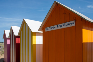 Lutte Contre Les Nuisibles Les Abymes